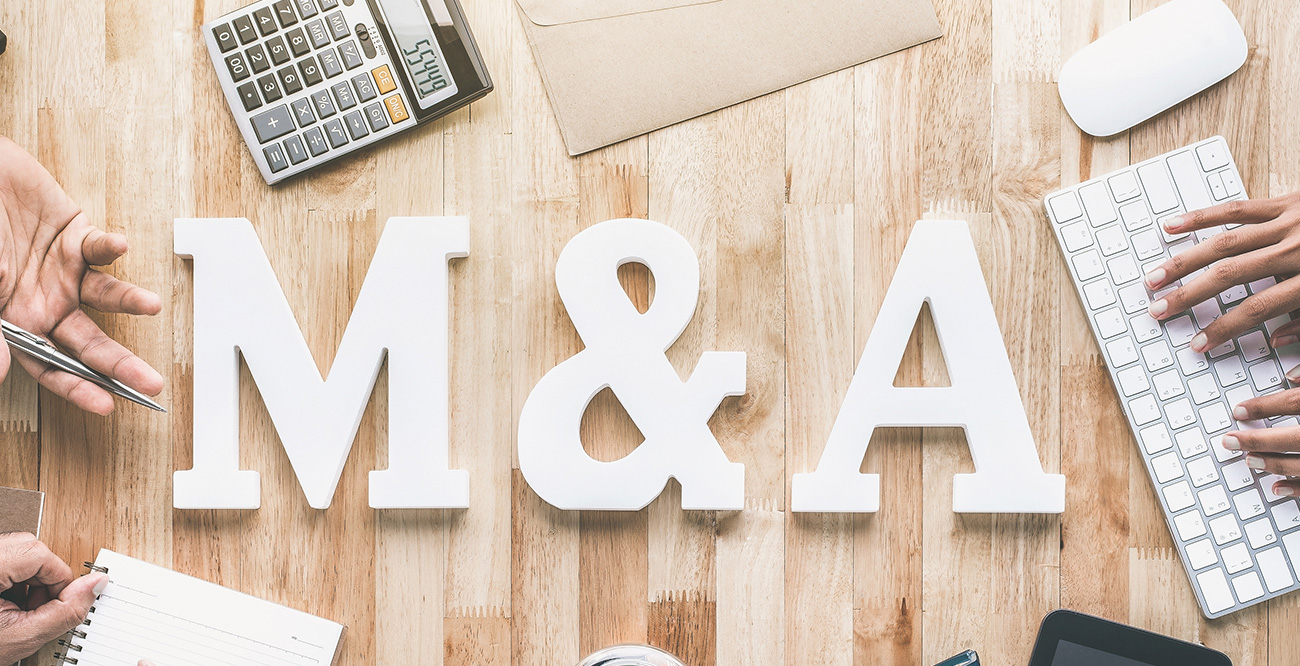 Die Grundstrukturen bei M&A-Transaktionen: Share Deal und andere Formalitäten